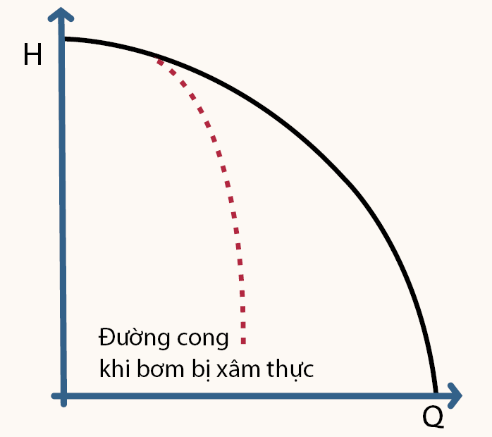 Hình 3: Đường cong của máy bơm và đường cong NPSH.