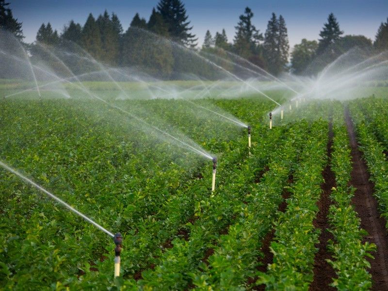 lua-chon-thong-so-may-bom-3