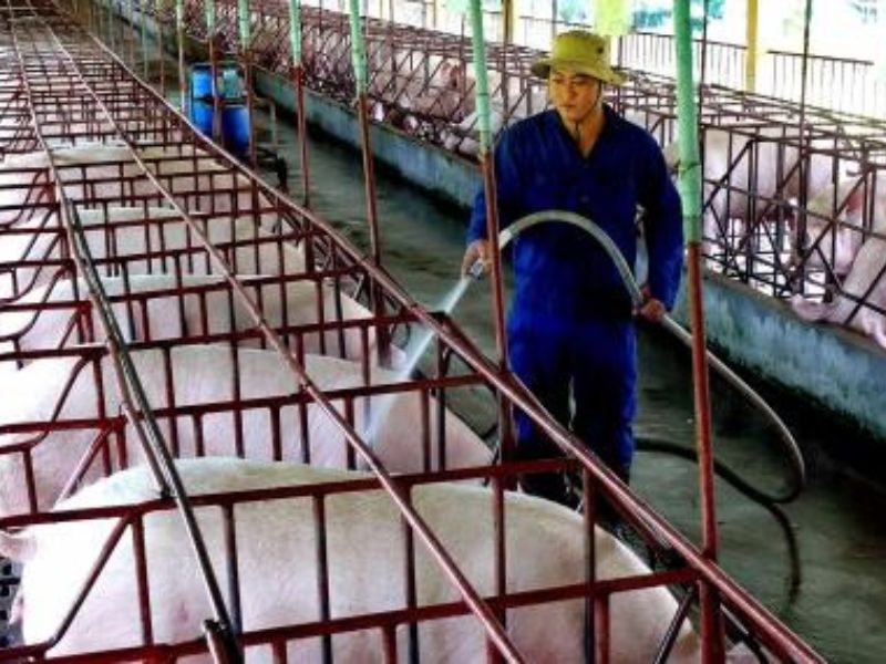 lua-chon-thong-so-may-bom-4